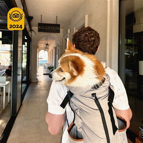 Tripadvisor: Over a billion reviews & contributions for .